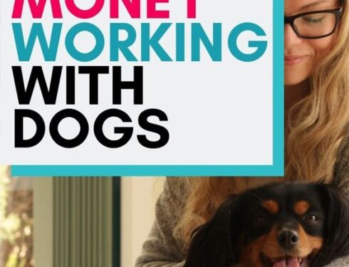 13 Jobs Working with Dogs