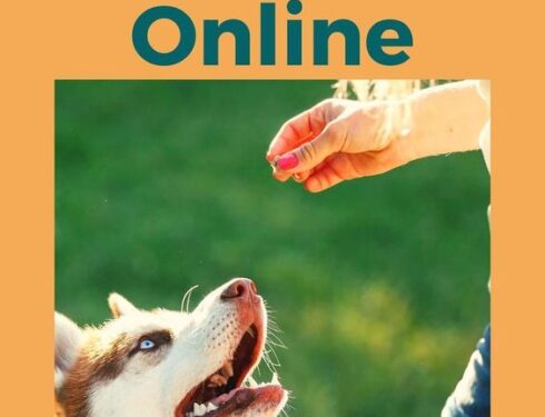 best online dog training course