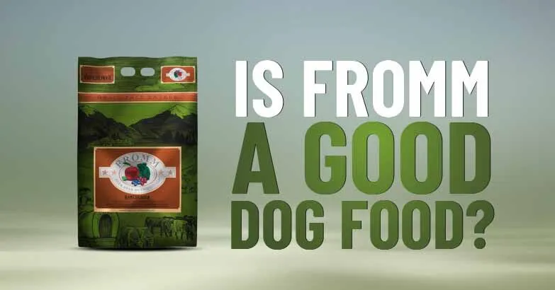 A Deep Dive into Fromm Dog Food 2024