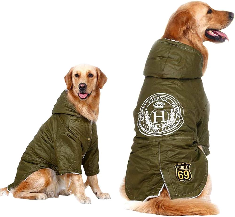 Big Dog Clothing